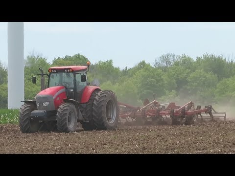 McCormick TTX 230 Tractor Cultivating | Ontario, Canada | 2020